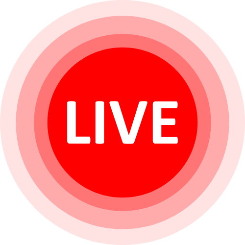 Erlenebarritt Cam